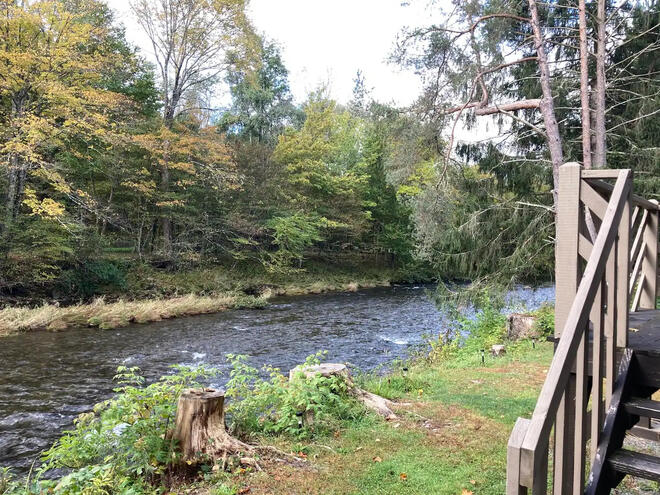 Backyard View